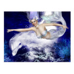 Mermaid with Dolphin Postcard