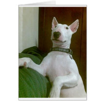 merra greeting cards