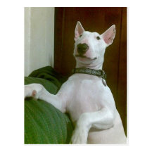 merra postcard