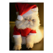 Merry CatMas Greeting Cards