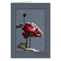 Merry Christmas - artsy red rose with snow Greeting Card