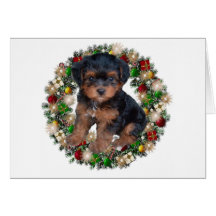 Merry Christmas Cards