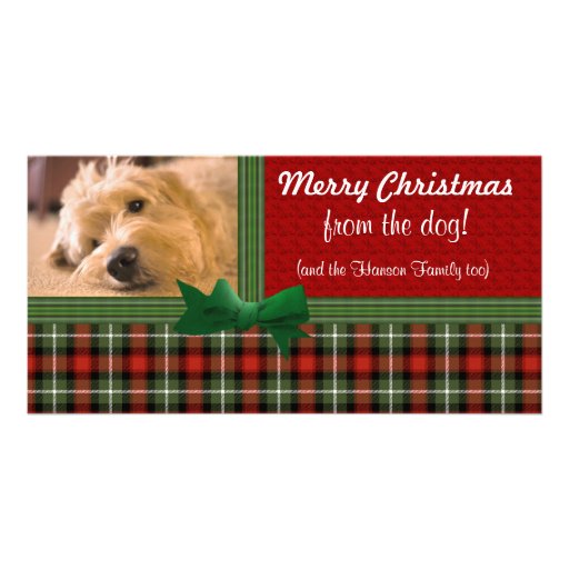 "Merry Christmas from the Dog!" Photo Cards