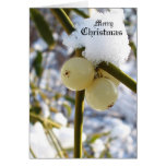 Merry Christmas(Mistletoe Berries) Cards
