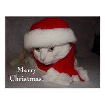 Merry Christmas! Postcards