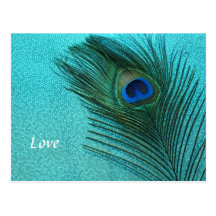 Metallic Aqua Blue Peacock Feather Postcards