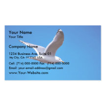 Mew Gull in Flight Business Card