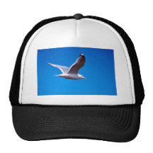 Mew Gull in Flight Mesh Hat