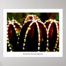 Mexican Fence Post Cactus (luminescent) Print