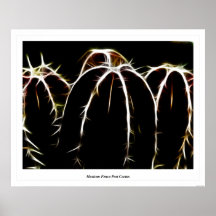 Mexican Fence Post Cactus Poster