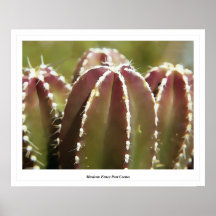 Mexican Fence Post Cactus Print