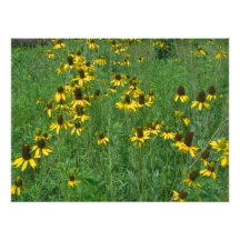 Mexican Hats Photo Enlargement