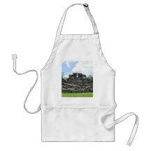 Mexican Ruin Aprons