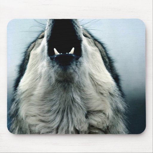 Mexican wolf, endangered species, Sonoran Desert, Mousepads