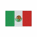Mexico flag embroidered men's polo shirt