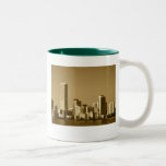 miamiskyline mug