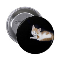 miaow pins
