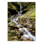 Michigan Upper Peninsula Waterfall In A-zazzlecard