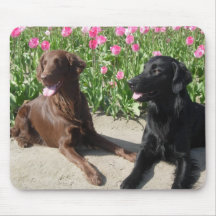 Mick & Patsy in the tulips 011 Mouse Pad