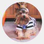 Mickey - Yorkshire Terrier - Shannon Sticker