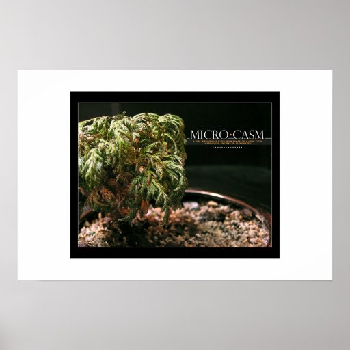 Microcosm Posters