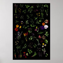 Microgreens Posters