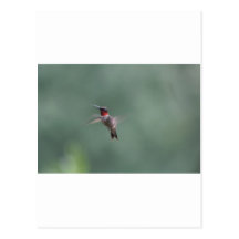 Mid Flight Postcards
