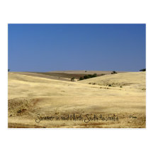 mid North South Australia Postcard