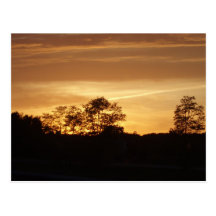 Mid summer's eve postcard