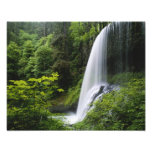 Middle North falls, Silver Falls State Park, Photo Art