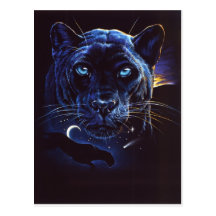 Midnight Leopard Portrait Post Card