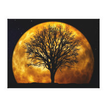 MIDNIGHT MOON CANVAS PRINTS