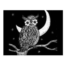 Midnight Owl Postcard
