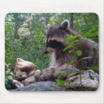 Mika the Racoon mousepads