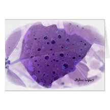 MIKROS IMPACT LAVENDER LEAF NOTE CARD