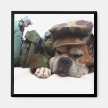 Military boxer magnet