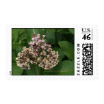Milkweed with Skipper Butterflies Stamp
