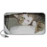 Mimi Speaker System