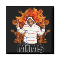 MIMS Magnet -  Eternal Flame magnets