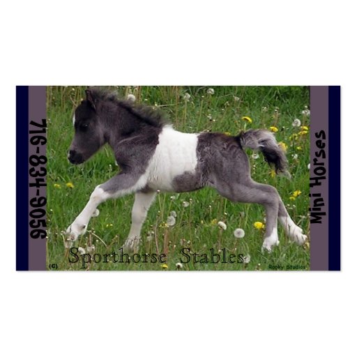 Mini Horse Business Card