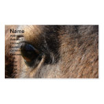 Mini Mare Eye Business Card Templates