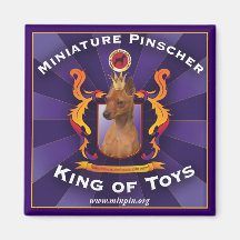 Miniature Pinscher, King of Toys Fridge Magnet