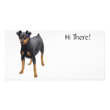 Miniature Pinscher Photo Card
