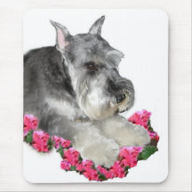 Miniature Schnauzer Art Gifts Mouse Mats