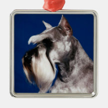 Miniature Schnauzer Head Study Christmas Ornaments