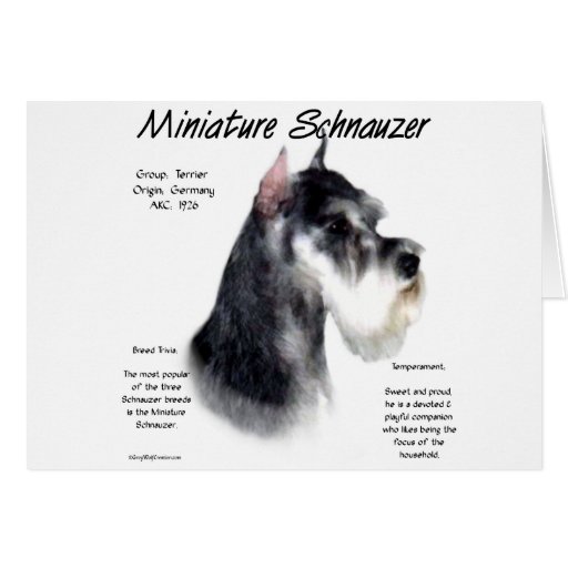 Miniature Schnauzer History Design Greeting Cards