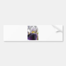 Miniature Tall Bearded Iris named Consummation Bumper Sticker
