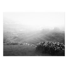 Minimalist landscape announcement