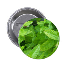 Mint Buttons