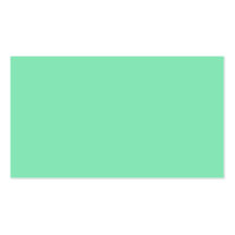 Mint Green Business Card